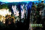 【純玩拼團(tuán)線路6】張家界、黃龍洞、天門山、天子山三晚四日游